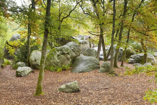Forest of Fontainebleau, Seine-et-marne, Ile de France, France — Stock Photo, Image