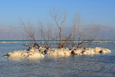 dead sea, İsrail tipik peyzaj