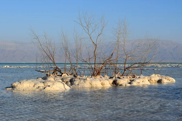 Typische landschap van de dode zee, Israël — Stockfoto