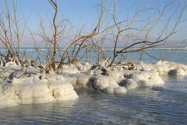 Landschap van de dode zee, Israël — Stockfoto