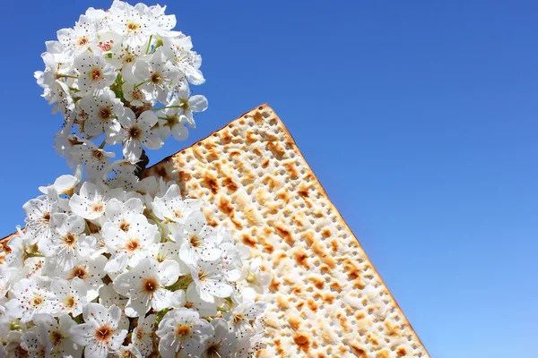 Fiesta judía de Pascua y matzo —  Fotos de Stock