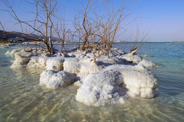 Landschap van de dode zee, Israël — Stockfoto