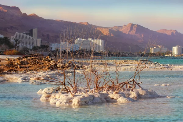 Disi mineral tuzları, Dead Sea, Israel — Stok fotoğraf