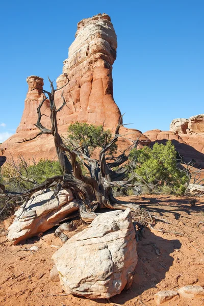 Arches parque nacional, utah, usa — Foto de Stock