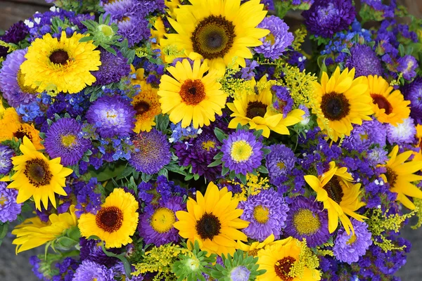 Decorative sunflowers and blue asters — Stock Photo, Image