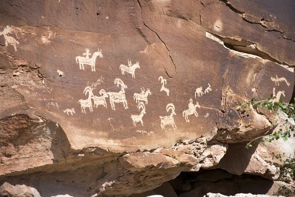 Ute petroglyphs in Arches National Park, Utah — Stock Photo, Image