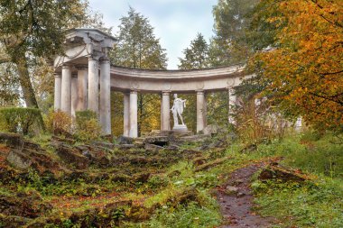 Apollo Colonnade Pavlovsk Park Güz, Saint Petersburg, Rusya Federasyonu