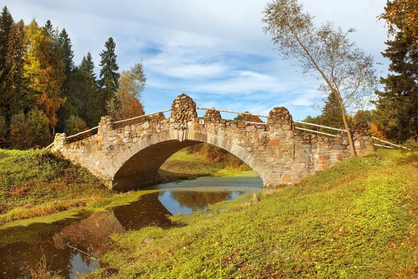 Pavlovsk Park, Saint Petersburg sonbahar manzara — Stok fotoğraf