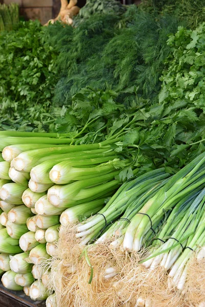 Ervas verdes frescas — Fotografia de Stock