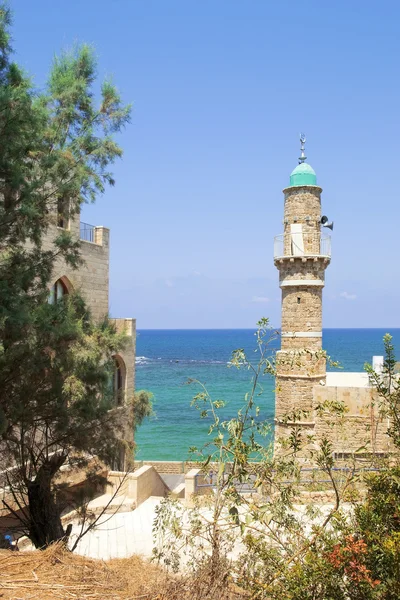 Akdeniz bir yükseklikten eski Jaffa, Tel Aviv, İsrail — Stok fotoğraf