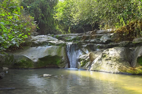 Nahal Hashofet河 流经以色列卡梅尔山附近Ramat Menashe生物圈保护区Hazorea森林的河流 — 图库照片