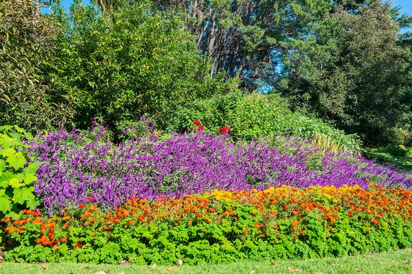 Festői Táj Nyilvános Parkban Queen Victoria Gardens Melbourne Ausztrália — Stock Fotó