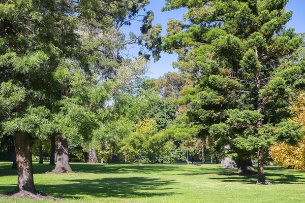 Malowniczy Krajobraz Parku Publicznym Queen Victoria Gardens Melbourne Australia — Zdjęcie stockowe