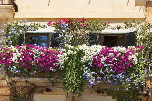 Balkon mit Blüten aus Petunien — Stockfoto