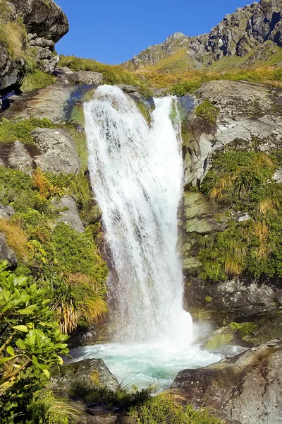 뉴질랜드의 아름 다운 자연 — 스톡 사진