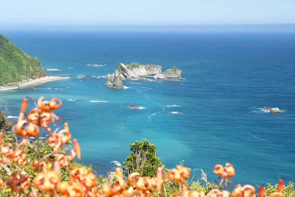 West coast, Nieuw-Zeeland — Stockfoto