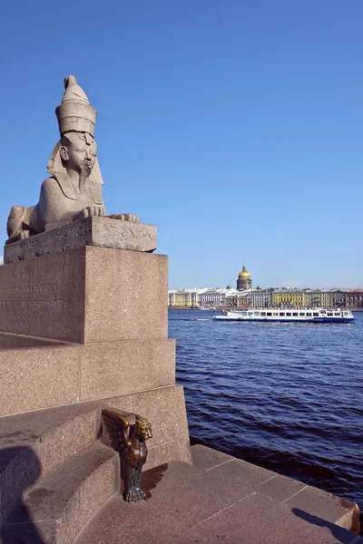 Sphinx am universitetskaya-Damm, heiliger petersburg, russland — Stockfoto