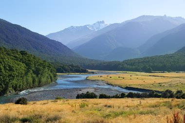 Yeni Zelanda'da Nehri ile kırsal manzara