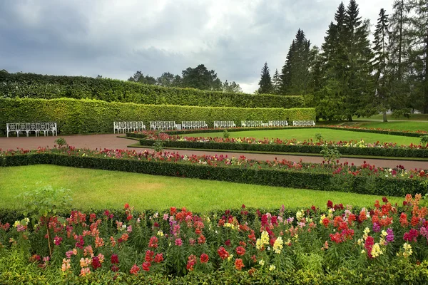 Paisagem em Catherine park, Tsarskoye Selo, São Petersburgo — Fotografia de Stock