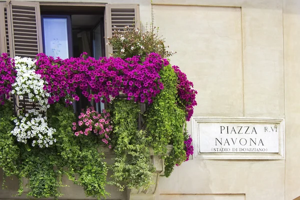 Italiensk balkong dekorert med blomsterpetuniaer – stockfoto
