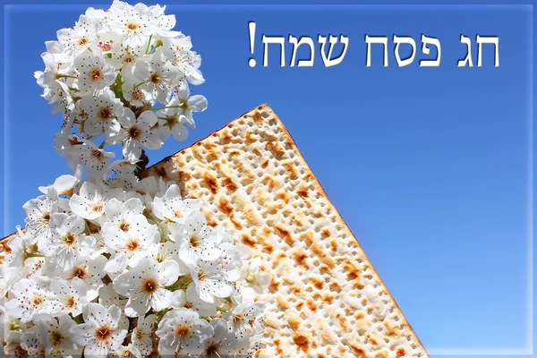 Jüdischer Feiertag von Pessach und Matzo — Stockfoto