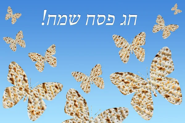 Flock of butterflies from matzo - Happy Passover — Stock Photo, Image