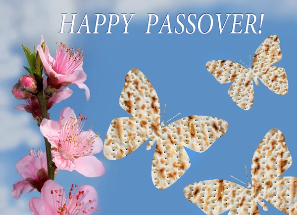 Voorjaar Joodse feest van Pesach — Stockfoto