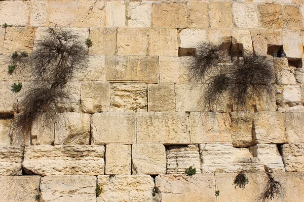 Mur des lamentations à Jérusalem, Israël — Photo