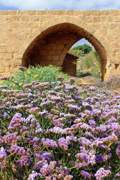 National park Achziv w zachodniej Galilei, Izrael — Zdjęcie stockowe