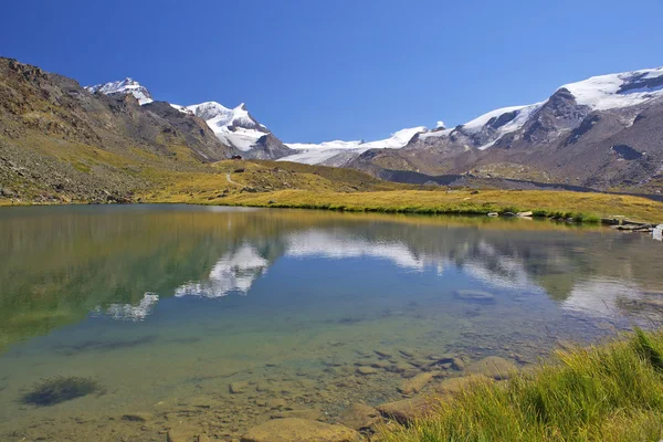 Paisaje de verano en los Alpes suizos — Foto de Stock