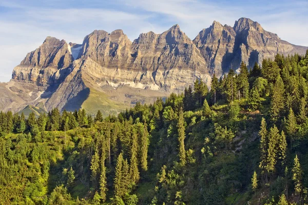 Paesaggio estivo nelle Alpi svizzere — Foto Stock