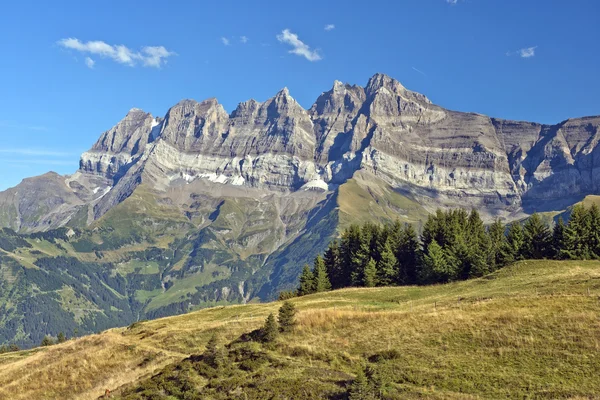 Paesaggio estivo nelle Alpi svizzere — Foto Stock