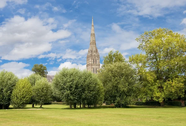 İngiltere 'deki Salisbury Katedrali — Stok fotoğraf