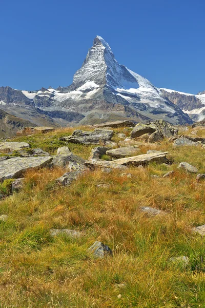 Paesaggio estivo nelle Alpi svizzere — Foto Stock