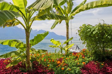 Cenevre Gölü manzaralı kıyıları
