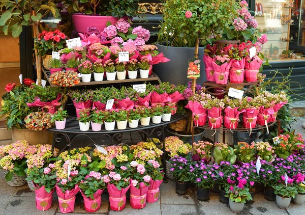 Loja de flores em Vienna — Fotografia de Stock