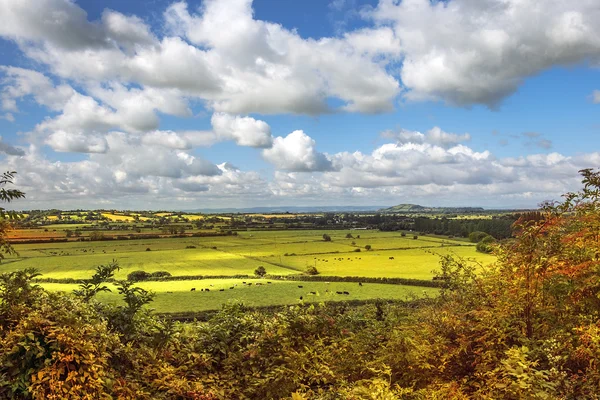 绿色的田野，索尔兹伯里，英格兰农村美丽的景色 — 图库照片