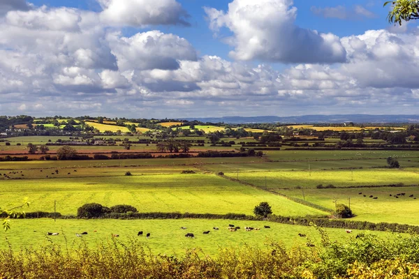 Vue panoramique rurale sur les champs verts, Salisbury, Angleterre — Photo