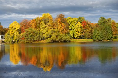 Altın sonbaharda Catherine park, Tsarskoye Selo (Puşkin)