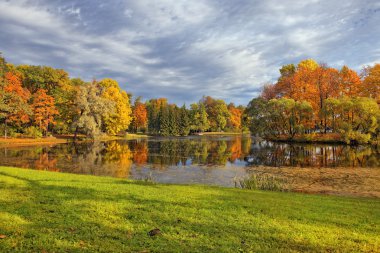 Altın sonbaharda Catherine park, Tsarskoye Selo (Puşkin)