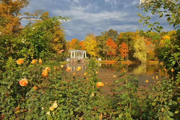 Outono dourado em no parque Catherine, Tsarskoye Selo (Pushkin ) — Fotografia de Stock