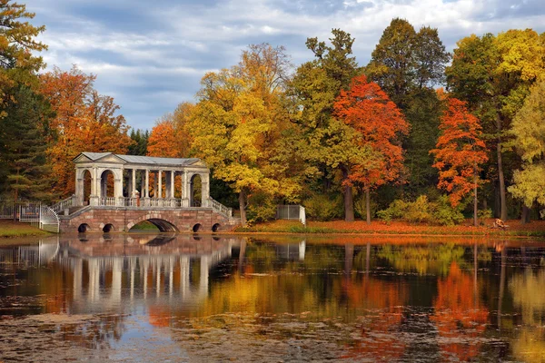 Gouden herfst in in Catherine park, Tsarskoye Selo (Poesjkin) Stockfoto