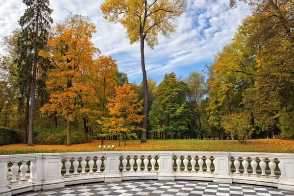 Automne doré dans le parc Catherine, Tsarskoye Selo — Photo
