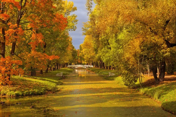 Золотая осень в парке Екатерины, Царское Село — стоковое фото