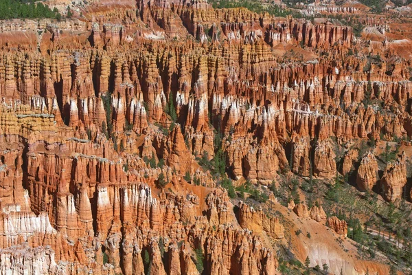 Bryce Canyon National Park, Utah, Estados Unidos — Foto de Stock