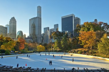 sonbaharda new york central Park'ta