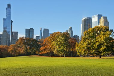 sonbaharda new york central Park'ta