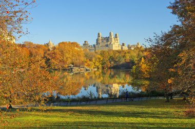sonbaharda new york central Park'ta