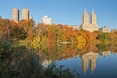sonbaharda new york central Park'ta