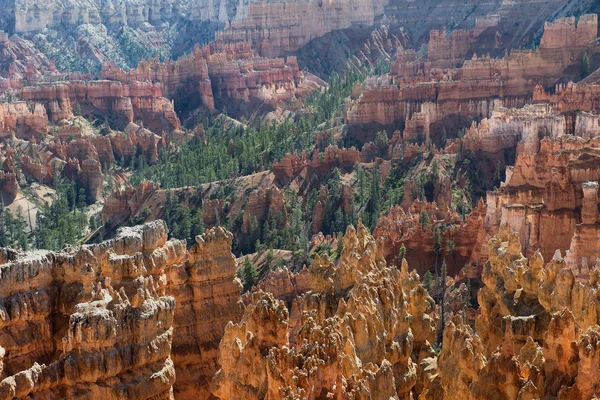 Bryce Canyon nationalpark, Utah, USA — Stockfoto